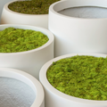 Moss Cover For Planters