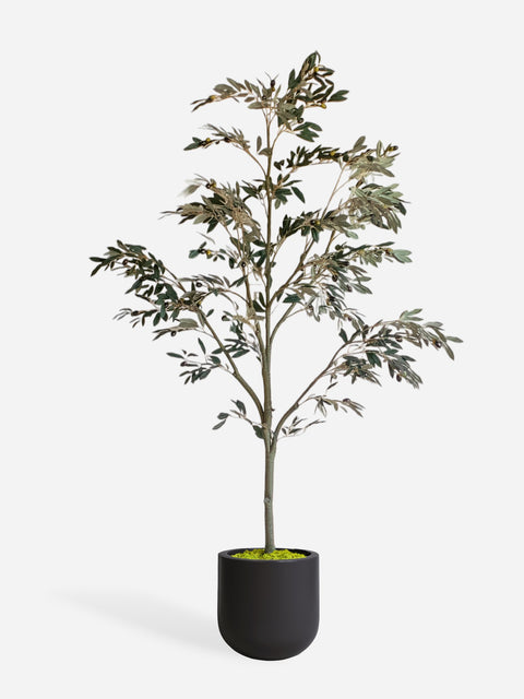 Artificial Tall Olive Tree & Rounded Black Planter
