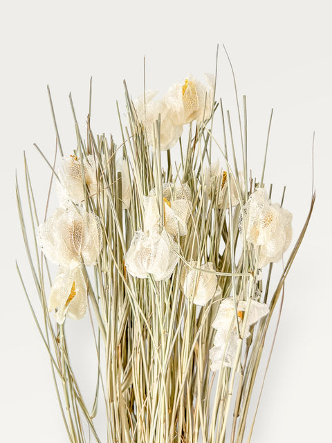 White Daylilies, Dried Wildflowers