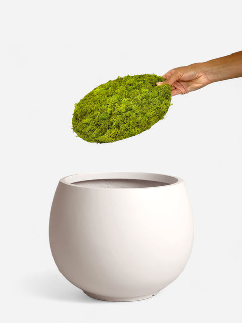 Sphere White Planter With Moss Cover