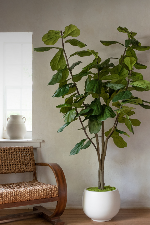 Easy plant arrangements for beautiful spaces.
