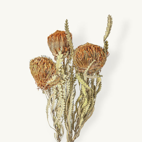 Orange Banksiana Bunch, Dried Wildflowers