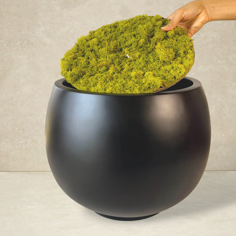 Moss Cover For Planters