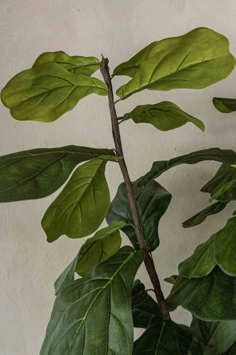 Artificial Fiddle Leaf Fig