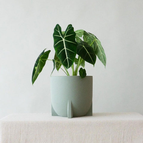 Green Ceramic Footed Planter