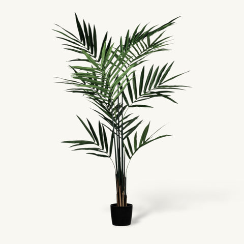 Artificial Tall Kentia Palm